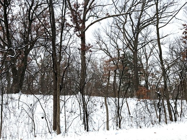 377 Totem Road, Saint Paul, MN 55119