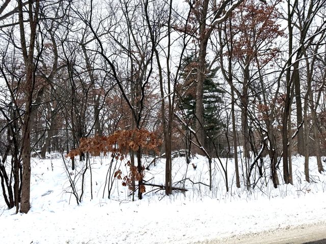 377 Totem Road, Saint Paul, MN 55119