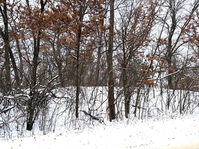 377 Totem Road, Saint Paul, MN 55119