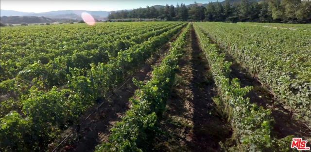 959 E Highway 246, Solvang, CA 93463