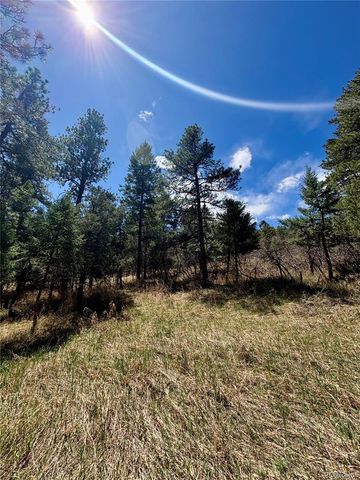 8200 Acoma Drive, Larkspur, CO 80118