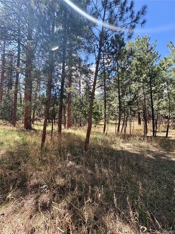 8200 Acoma Drive, Larkspur, CO 80118