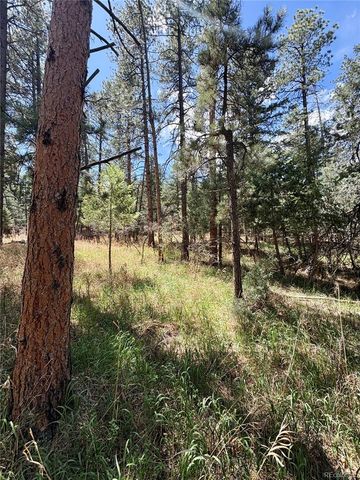8200 Acoma Drive, Larkspur, CO 80118