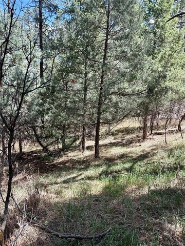 8200 Acoma Drive, Larkspur, CO 80118