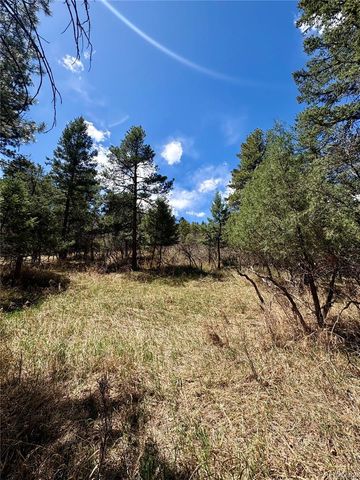 8200 Acoma Drive, Larkspur, CO 80118
