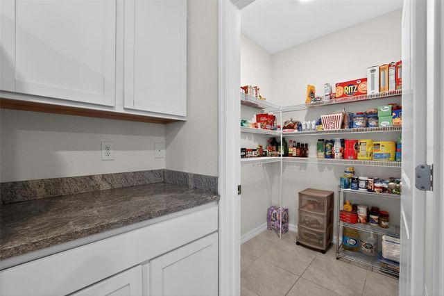 32597 CANYONLANDS DRIVE, Wesley Chapel, FL 33543