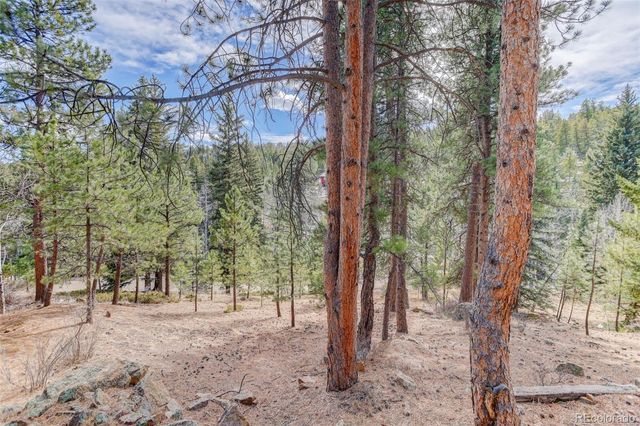 6346 King Road, Evergreen, CO 80439