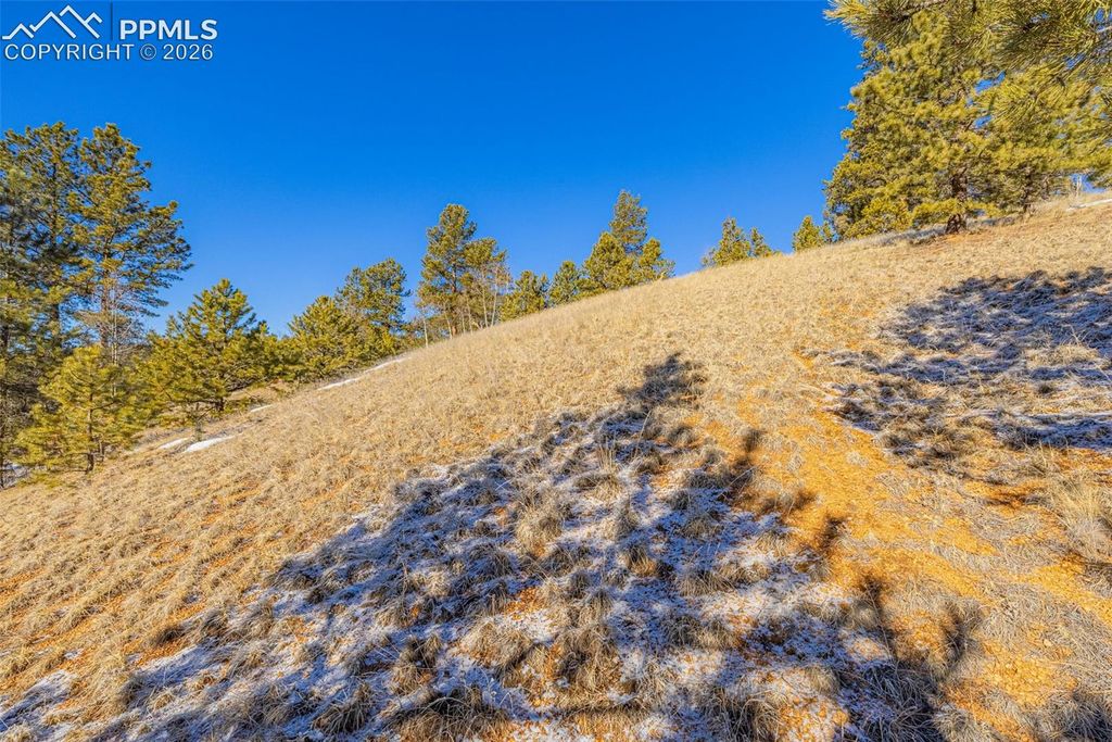 772 E Bison Creek Trail, Florissant, CO 80816 — exterior