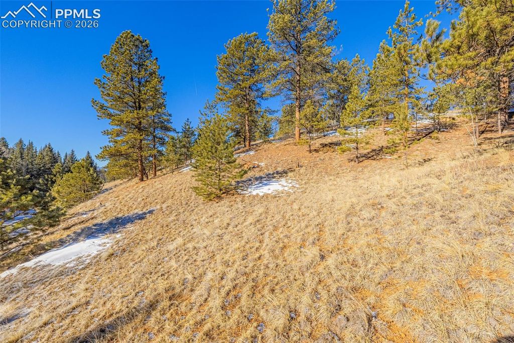 772 E Bison Creek Trail, Florissant, CO 80816 — photo 2