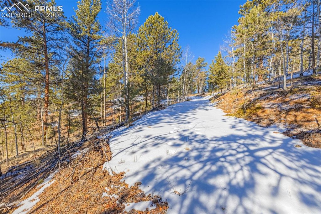 772 E Bison Creek Trail, Florissant, CO 80816 — photo 3