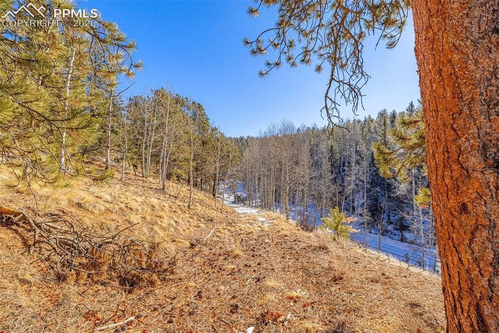 772 E Bison Creek Trail, Florissant, CO 80816 — photo 4