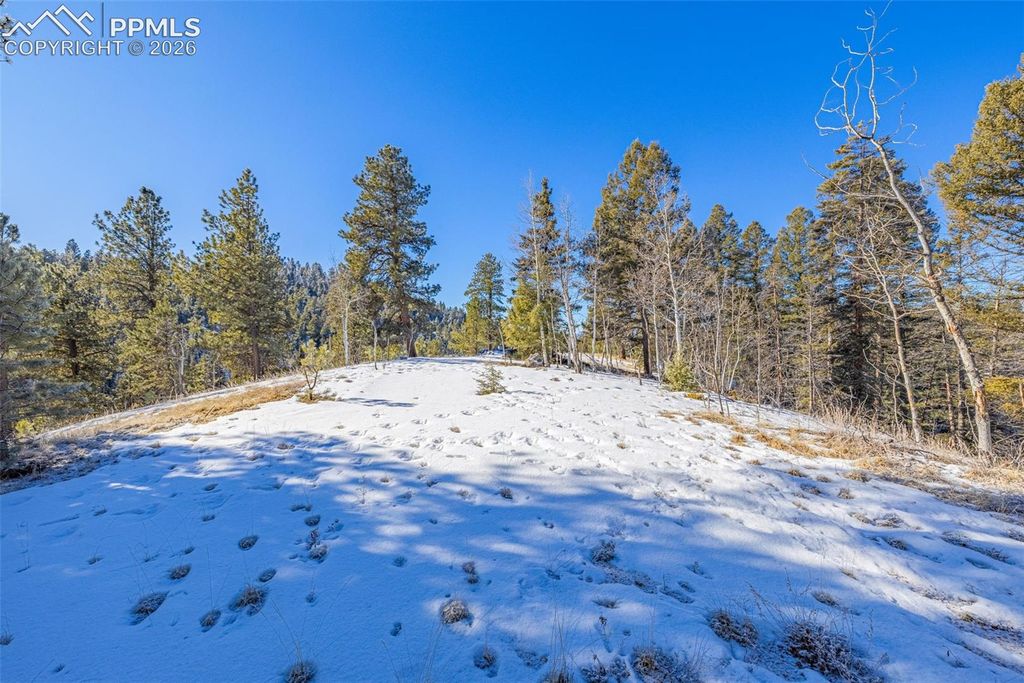 772 E Bison Creek Trail, Florissant, CO 80816 — photo 5