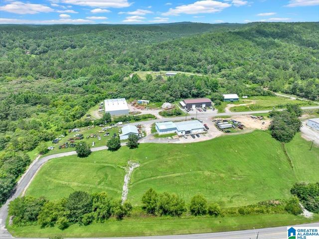 1788 HORSECREEK BOULEVARD, Dora, AL 35062