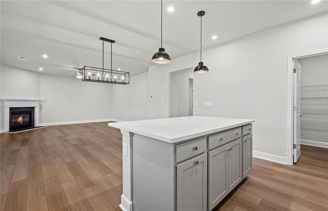 217 Kindness Circle, Mcdonough, GA 30252