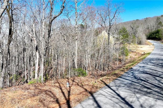 Lot 21 Long Mountain Trail, Cleveland, GA 30528