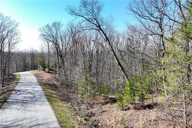Lot 21 Long Mountain Trail, Cleveland, GA 30528