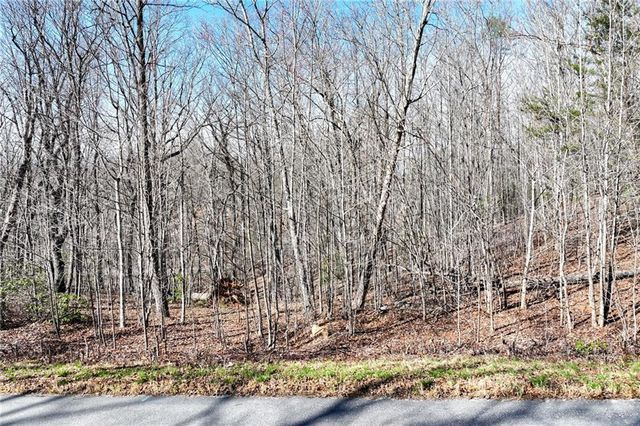 Lot 21 Long Mountain Trail, Cleveland, GA 30528