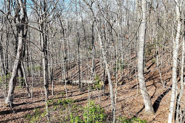 Lot 21 Long Mountain Trail, Cleveland, GA 30528