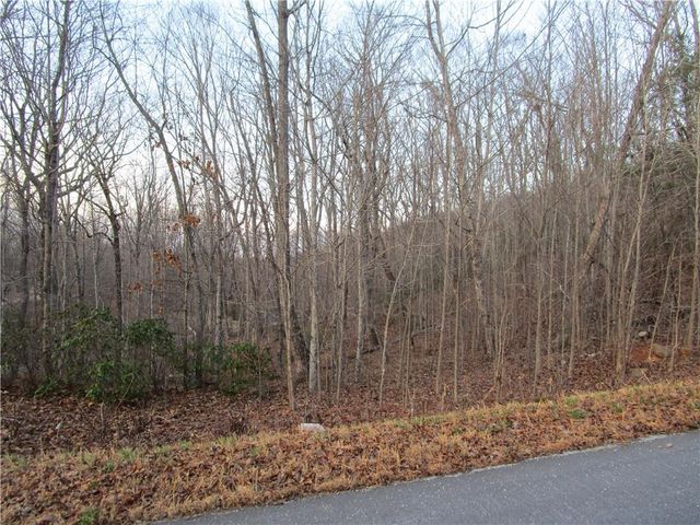 Lot 21 Long Mountain Trail, Cleveland, GA 30528