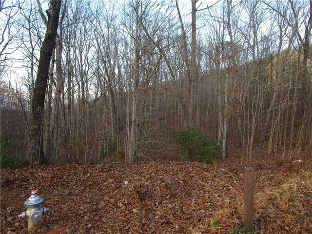 Lot 21 Long Mountain Trail, Cleveland, GA 30528