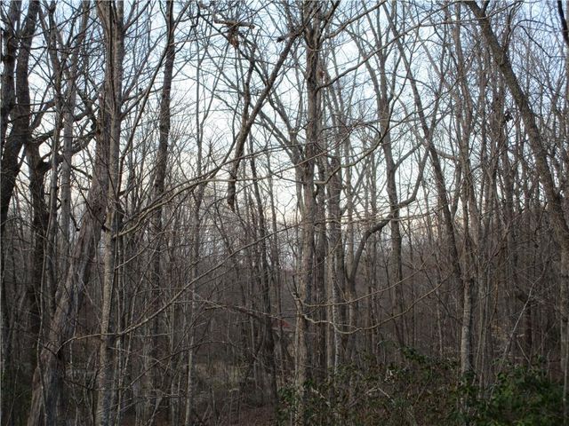 Lot 21 Long Mountain Trail, Cleveland, GA 30528