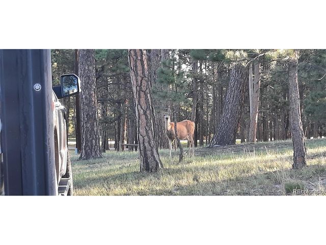 13395 Frank Rd, Colorado Springs, CO 80908