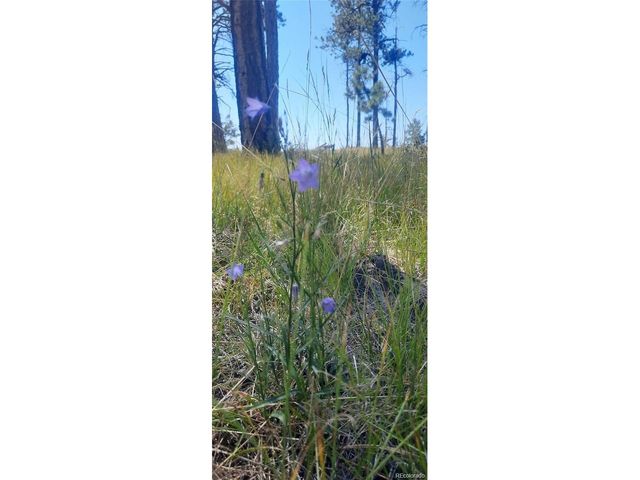 13395 Frank Rd, Colorado Springs, CO 80908