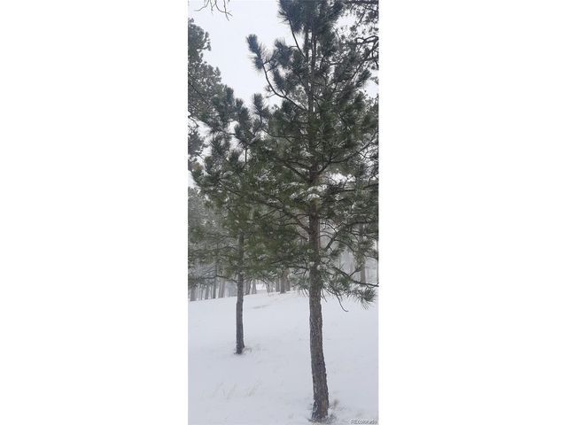 13395 Frank Rd, Colorado Springs, CO 80908