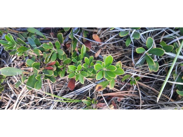 13395 Frank Rd, Colorado Springs, CO 80908