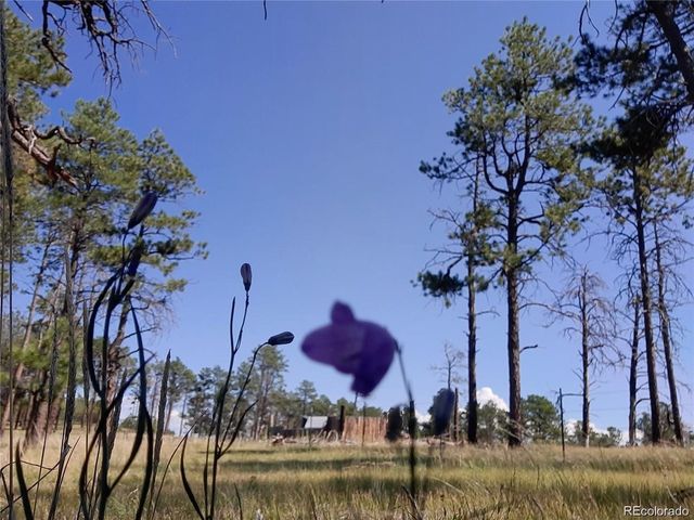 13395 Frank Rd, Colorado Springs, CO 80908