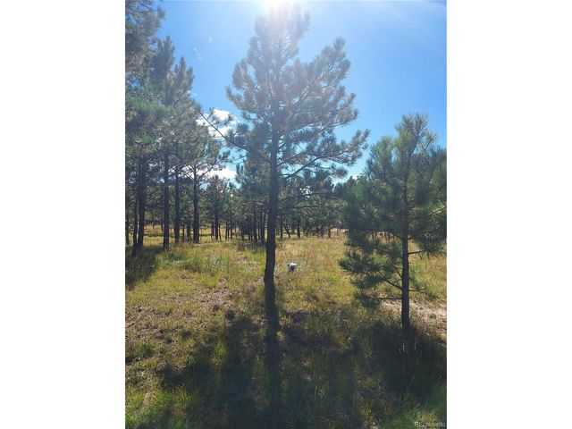 13395 Frank Rd, Colorado Springs, CO 80908