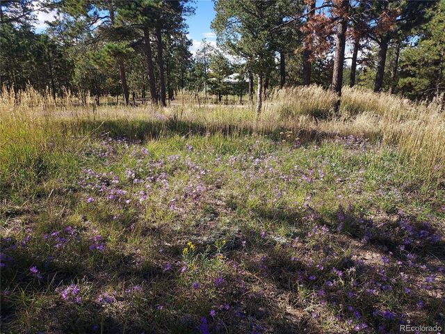 13395 Frank Rd, Colorado Springs, CO 80908