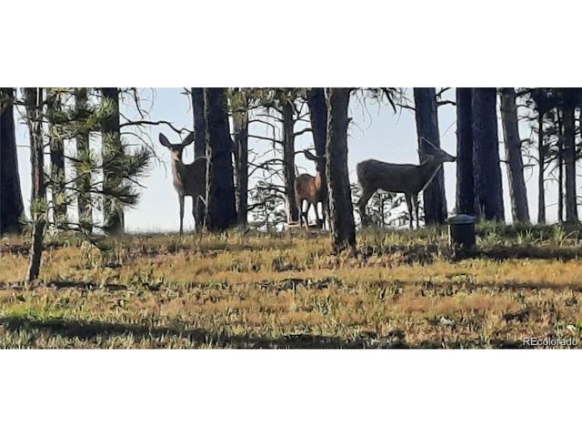 13395 Frank Rd, Colorado Springs, CO 80908