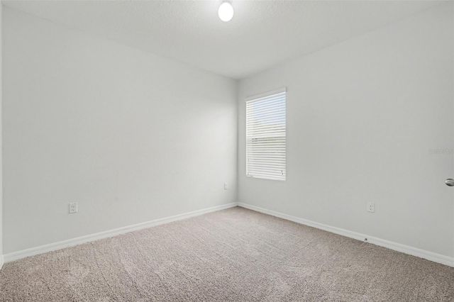 10125 HAWK STORM AVENUE, Tampa, FL 33610