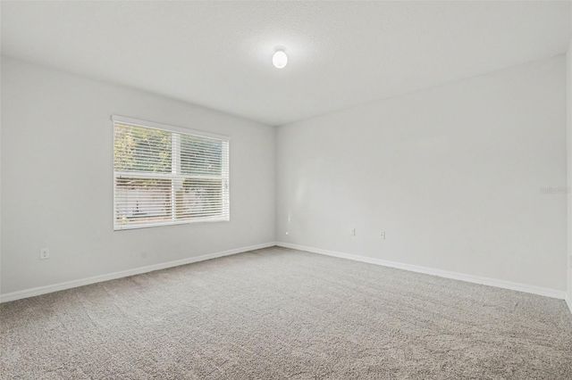 10125 HAWK STORM AVENUE, Tampa, FL 33610