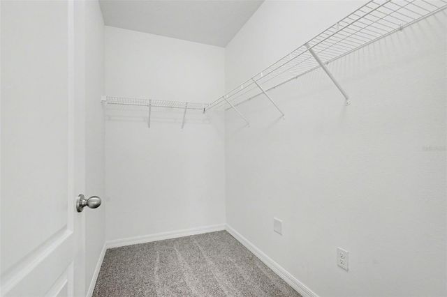 10125 HAWK STORM AVENUE, Tampa, FL 33610