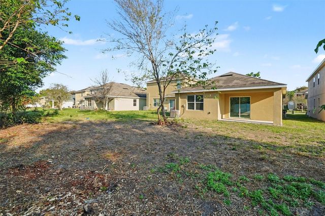 10125 HAWK STORM AVENUE, Tampa, FL 33610