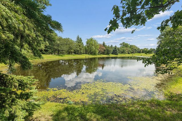 25619 S Bristol Lane, Monee, IL 60449