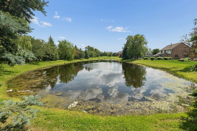 25619 S Bristol Lane, Monee, IL 60449