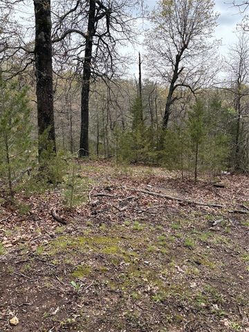 TBD N Lakewood Drive, Lowell, AR 72745