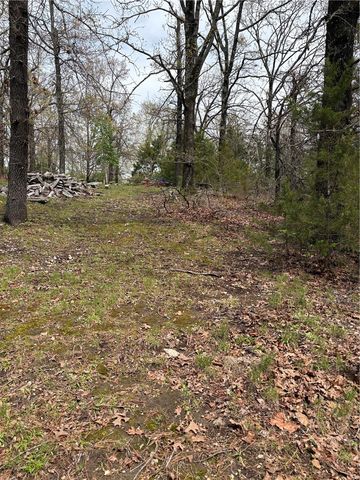 TBD N Lakewood Drive, Lowell, AR 72745