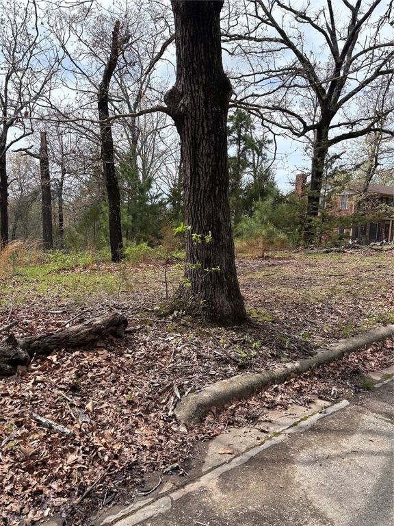 TBD N Lakewood Drive, Lowell, AR 72745