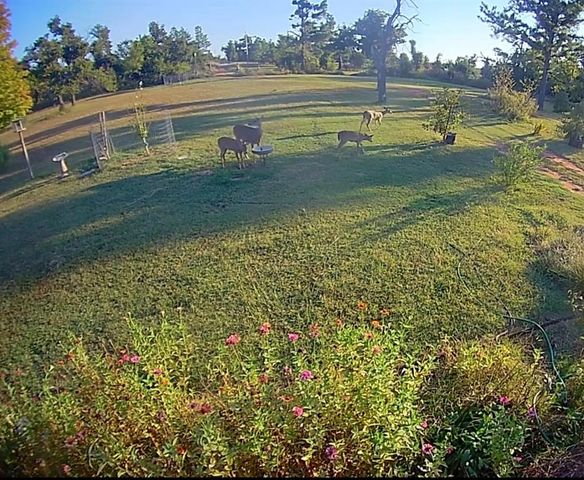 26190 Ash Lane, Blanchard, OK 73010