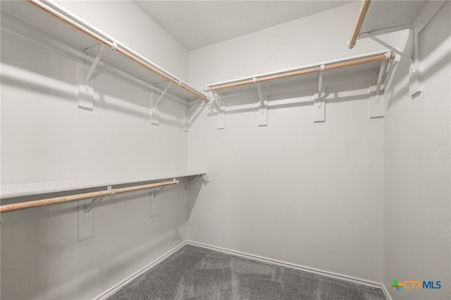 2668 Belle Hubbard Trail, Belton, TX 76513