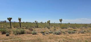 175th St E / Ave W14, Llano, CA 93544