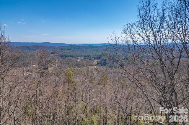 TBD Loganberry Lane, Lake Toxaway, NC 28747