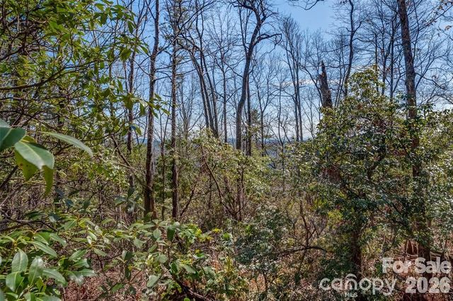 TBD Loganberry Lane, Lake Toxaway, NC 28747