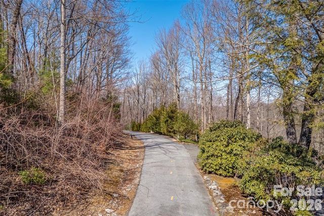 TBD Loganberry Lane, Lake Toxaway, NC 28747