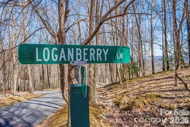 TBD Loganberry Lane, Lake Toxaway, NC 28747