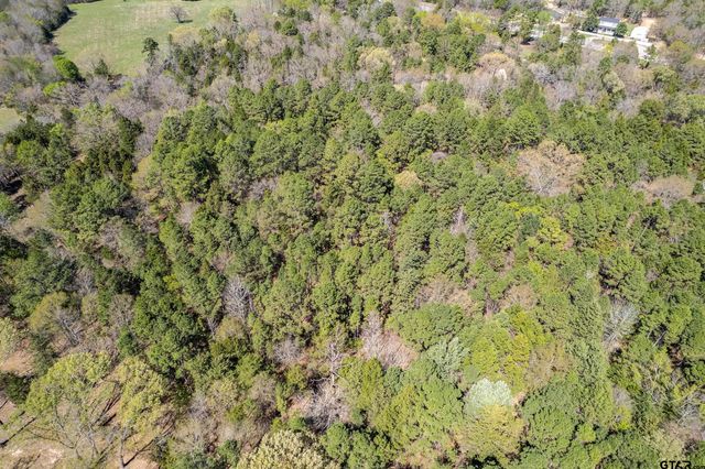 7715 State Hwy 64, Ben Wheeler, TX 75754